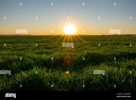 Green field during the beautiful sunset Stock Photo - Alamy