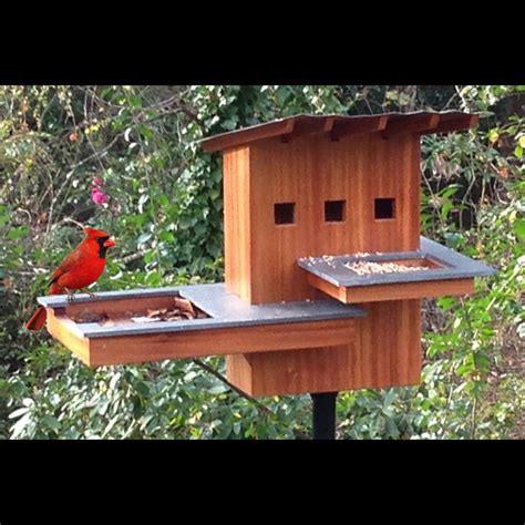 Cardinal Birdhouse Plans Free Printable / Unlike most birds, cardinals ...