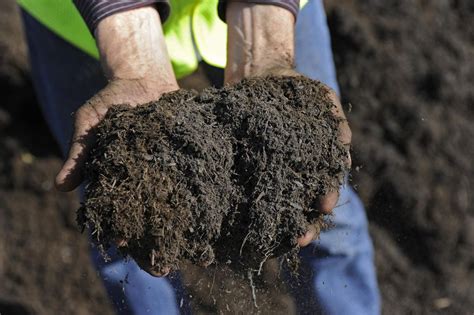 Where to Buy Top Soil and Compost in Bulk