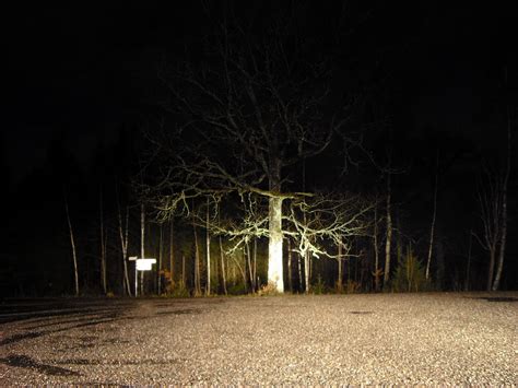 Mis fotografias: Mi bosque de noche Halleberg