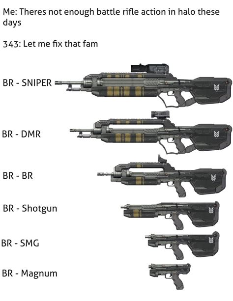 Too much BR | Halo | Know Your Meme