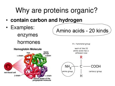 AIM: What are some other organic molecules? - ppt download