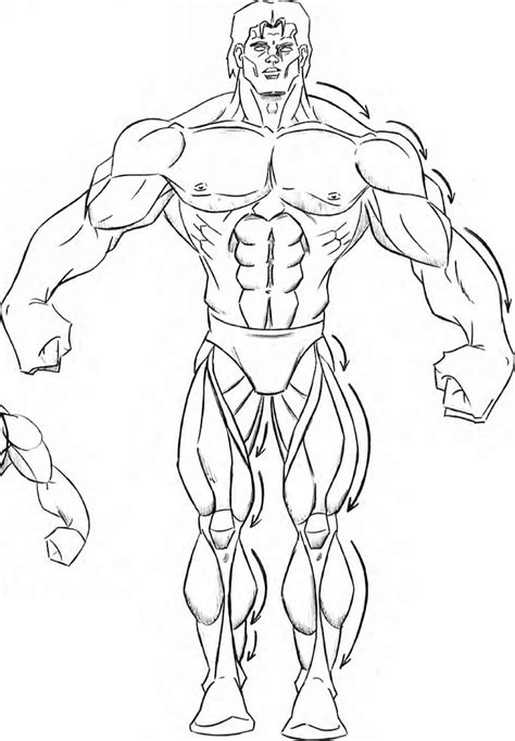 Muscular Body Drawing at GetDrawings | Free download