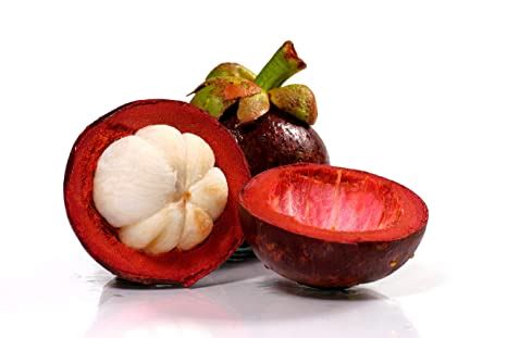 Garcinia Indica Fruit, Packaging Type : Pp Bags, Color : Red at Best Price in Kanpur