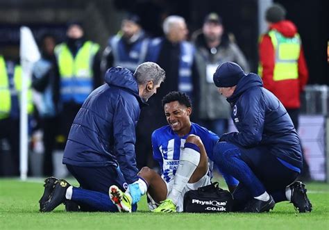 Joao Pedro injury: Roberto De Zerbi issues update on Brighton striker ...