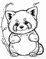 Red Panda Coloring Pages  11 Free Printable sketch template