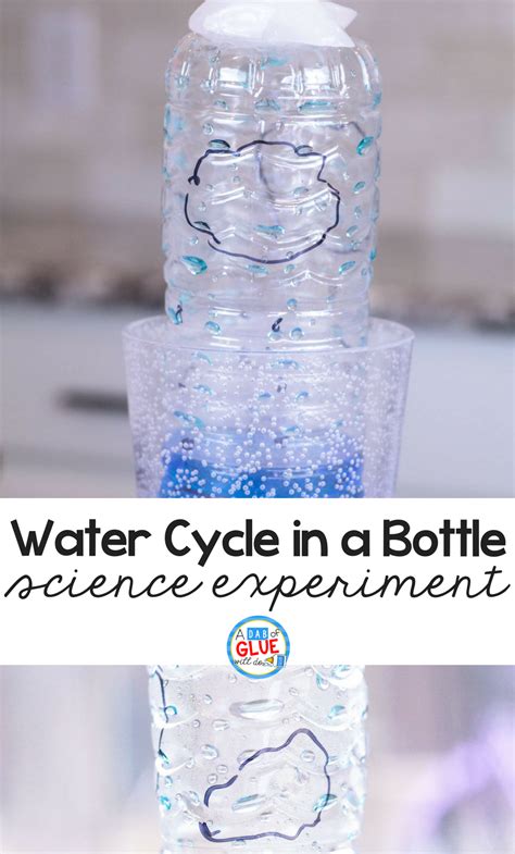 Water Cycle Science Project Ideas