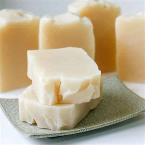 10 Clever Uses for Castile Soap - Brown Thumb Mama®