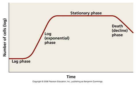 Chart Growth Phase