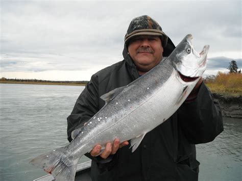 Alaska Silver Salmon Fishing Charters | Alaska Fish On Charters