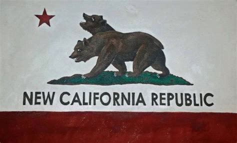 Hand-painted "New California Republic" Flag from the "Fallout" Video ...