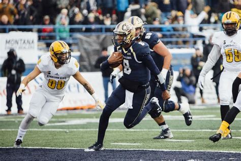 Montana State Bobcats 2017 football season | Bobcats | mtstandard.com