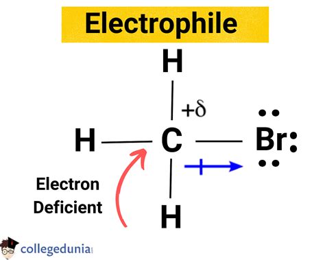 Electrophile: Definition, Types & Examples