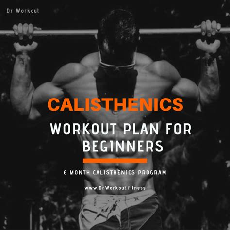 Calisthenics Workout Plan for Beginners – 6 Month Calisthenics Program ...