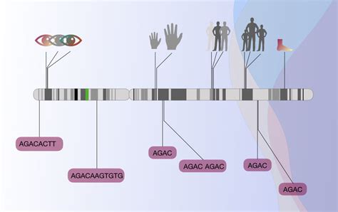 A Brief Introduction to "Gene Mapping"