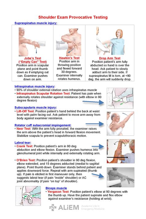 Shoulder Exam - Provocative Testing ... | Muscle testing, Supraspinatus ...