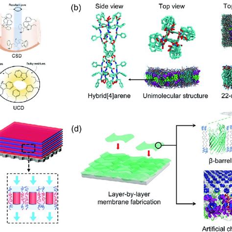 Isoporous membranes using block copolymer scaffolds and... | Download Scientific Diagram