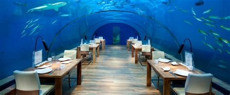 Conrad Maldives Underwater Hotel Suite - Average Joes