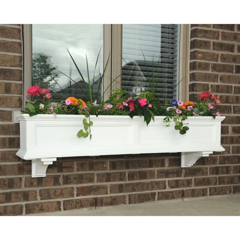 Fairfield Window Box 4ft White | Tulips Orchids