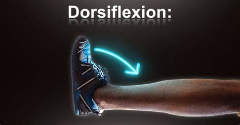 Ankle Dorsiflexion - The Ultimate Guide for Athletes