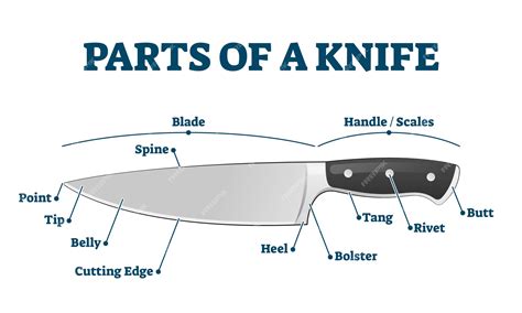 Premium Vector | Parts of kitchen knife with labeled structure description . Educational diagram ...