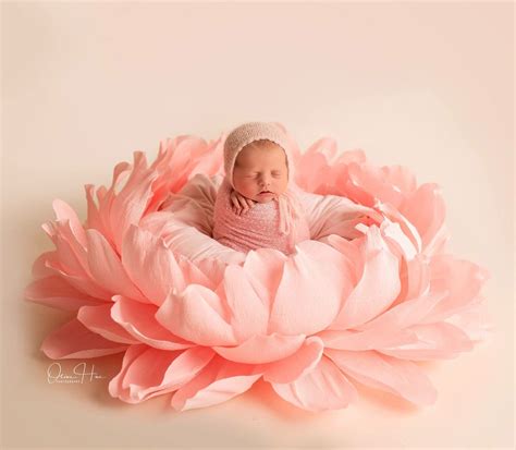 Newborn Baby Photography Props | Giant Paper Peony | Baby Girl Photo ...