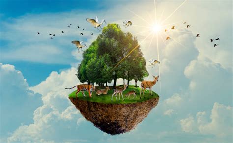 Earth Day Animals Stock Photos, Pictures & Royalty-Free Images - iStock