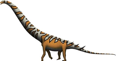 Clipart dinosaur diplodocus, Clipart dinosaur diplodocus Transparent ...