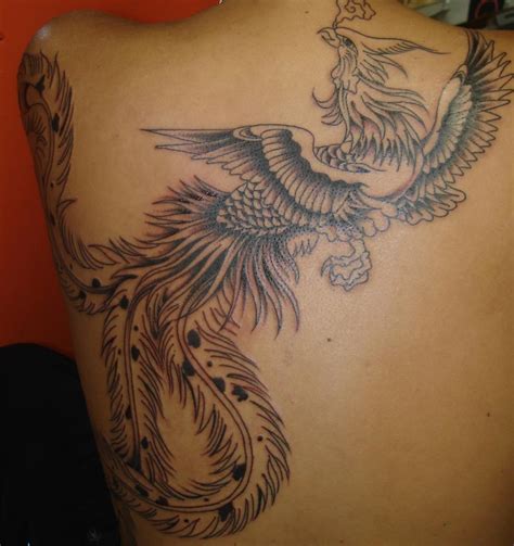 Phoenix Bird Tattoos Pictures | villakajava