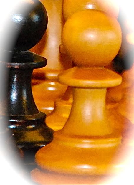 Boylston Chess Club Weblog: BCC JUNIORS SHINE: NITHIN KAVI // DANIEL WANG 1ST IN GRAND PRIX JUNE ...