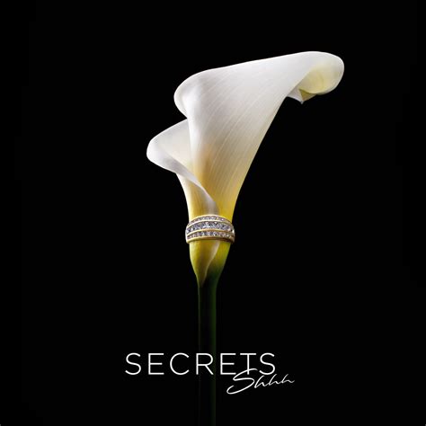 SECRETS Shhh Brand Strategy & Design