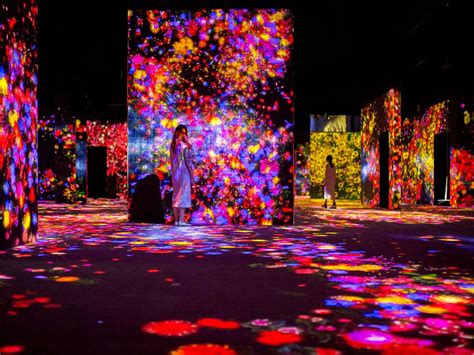 A World First: Mori Building Digital Art Museum teamLab Borderless Opens in Tokyo | Tokyo Weekender