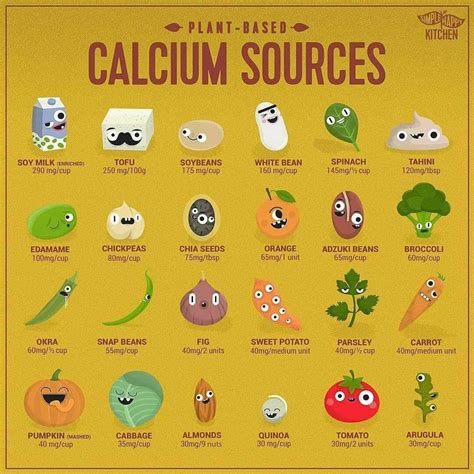 Plant based calcium sources | Vegan Amino