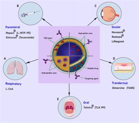 Lipid-based nanoparticles are developed for therapeutic peptide... | Download Scientific Diagram