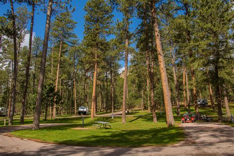 Blue Bell Campground Camping | The Dyrt