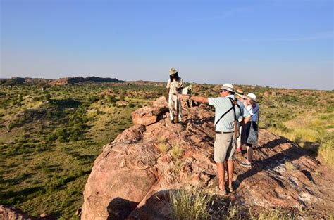 Dig into History - Discover Mapungubwe National Park, Limpopo