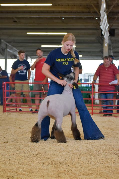 Home - Des Moines County Fair