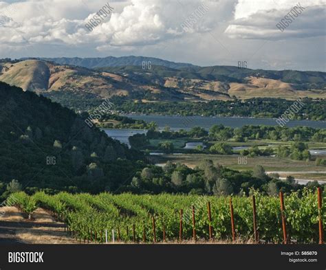 Vineyards Clear Lake Image & Photo (Free Trial) | Bigstock