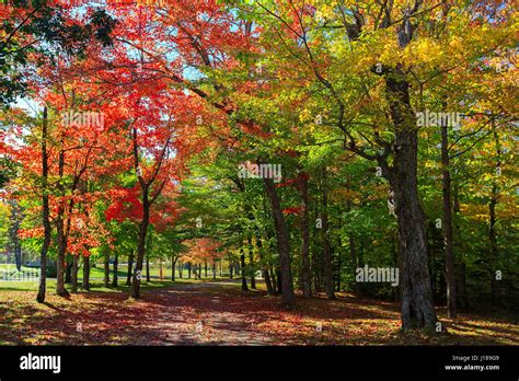 Brilliant fall foliage in rural Nova Scotia, Canada Stock Photo - Alamy