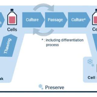 Flowchart of a generalized cell culture process [31]. | Download ...