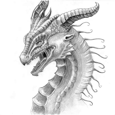 Dragon Pencil Sketch Easy