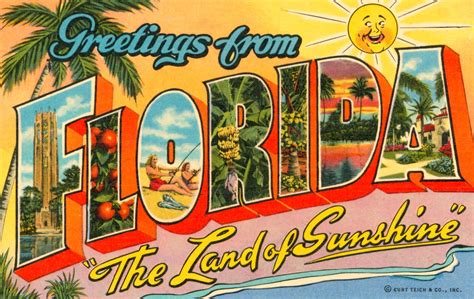 Colorful Connections: 10 Postcards from Southwest Florida