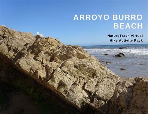 Arroyo Burro Beach Virtual Hike | NatureTrack Foundation