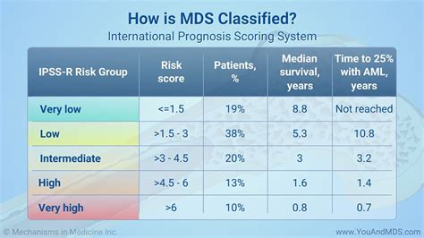 How is MDS classified? International Prognosis Scoring System The ...