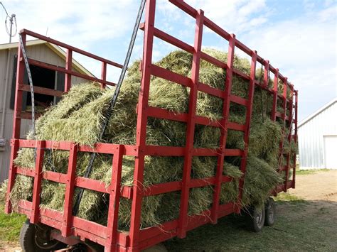 Free Images : hay, animal, summer, feed, food, horse, agriculture ...
