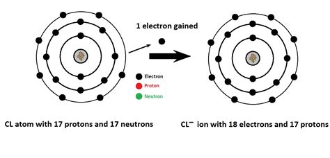 what is the difference between a cation and an anion