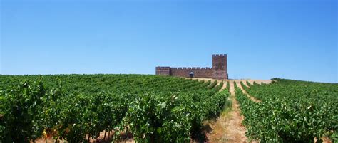 Alentejo Wine Region | a Guide by Cellar Tours™