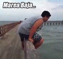 Marea Baja Baboso GIF - Marea Baja Baboso - Discover & Share GIFs