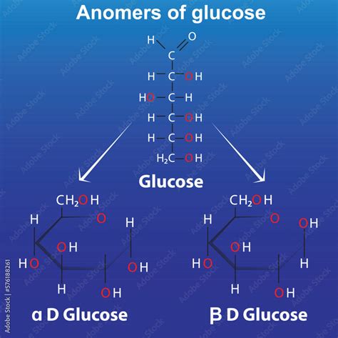 Vetor de ring forms of glucose of glucose alpha d glucose and beta d ...