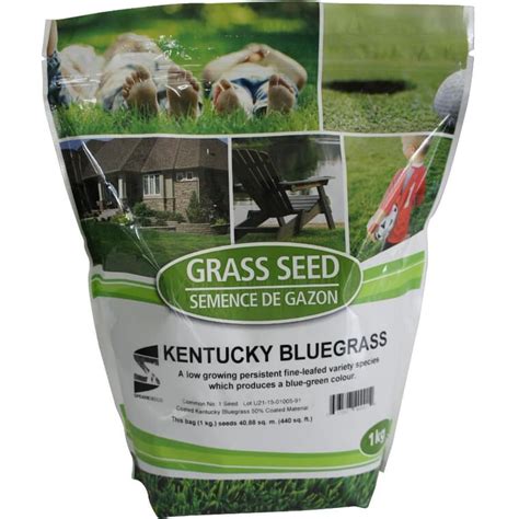 SPEARE SEEDS 1kg Kentucky Bluegrass Grass Seed | Home Hardware